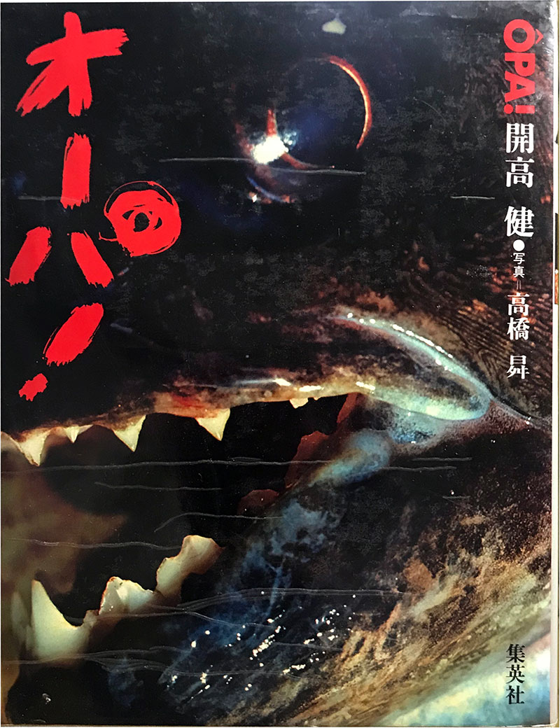 オーパ！