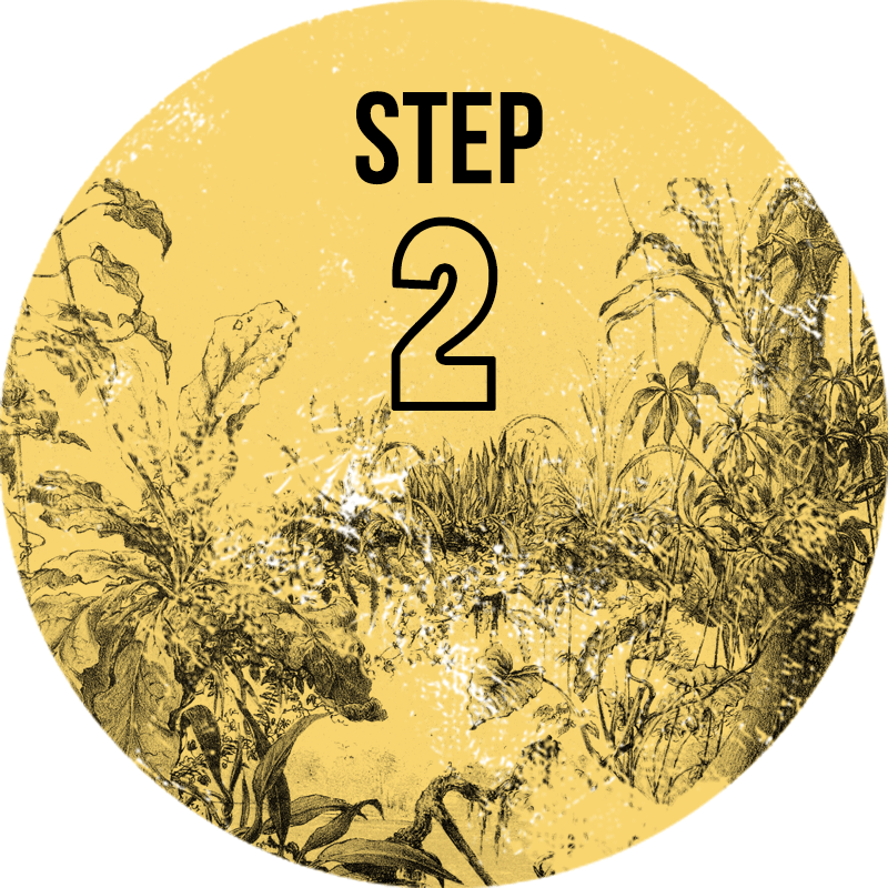 ワイルドアクアリウムを始めましょう STEP2 地域の状況を知る