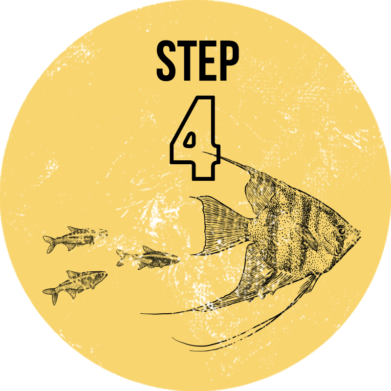 ワイルドアクアリウムを始めましょう STEP4 ワイルドアクアリウムの立ち上げ